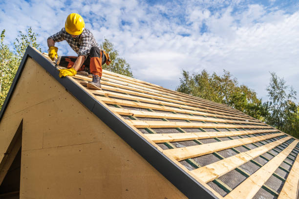 Best Roof Gutter Cleaning  in Los Fresnos, TX