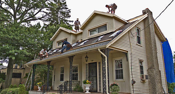 Best Roof Repair Services  in Los Fresnos, TX
